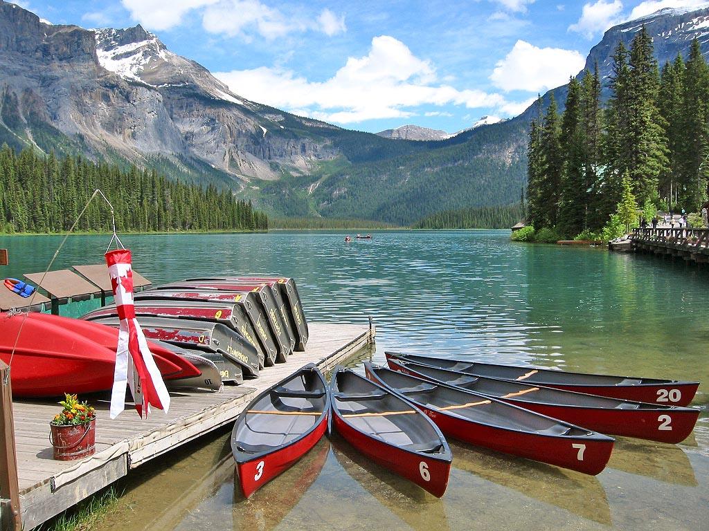 Field (Yoho N.P.)  001